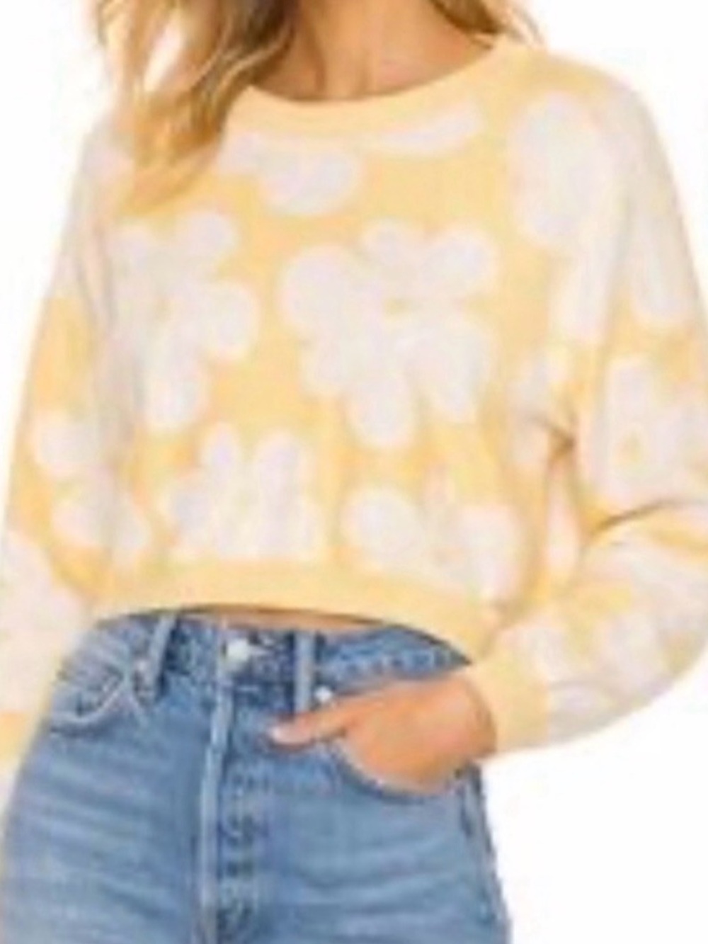 Anthropologie Luna Ivy Light Yellow Floral Sweater Crop Sz XS